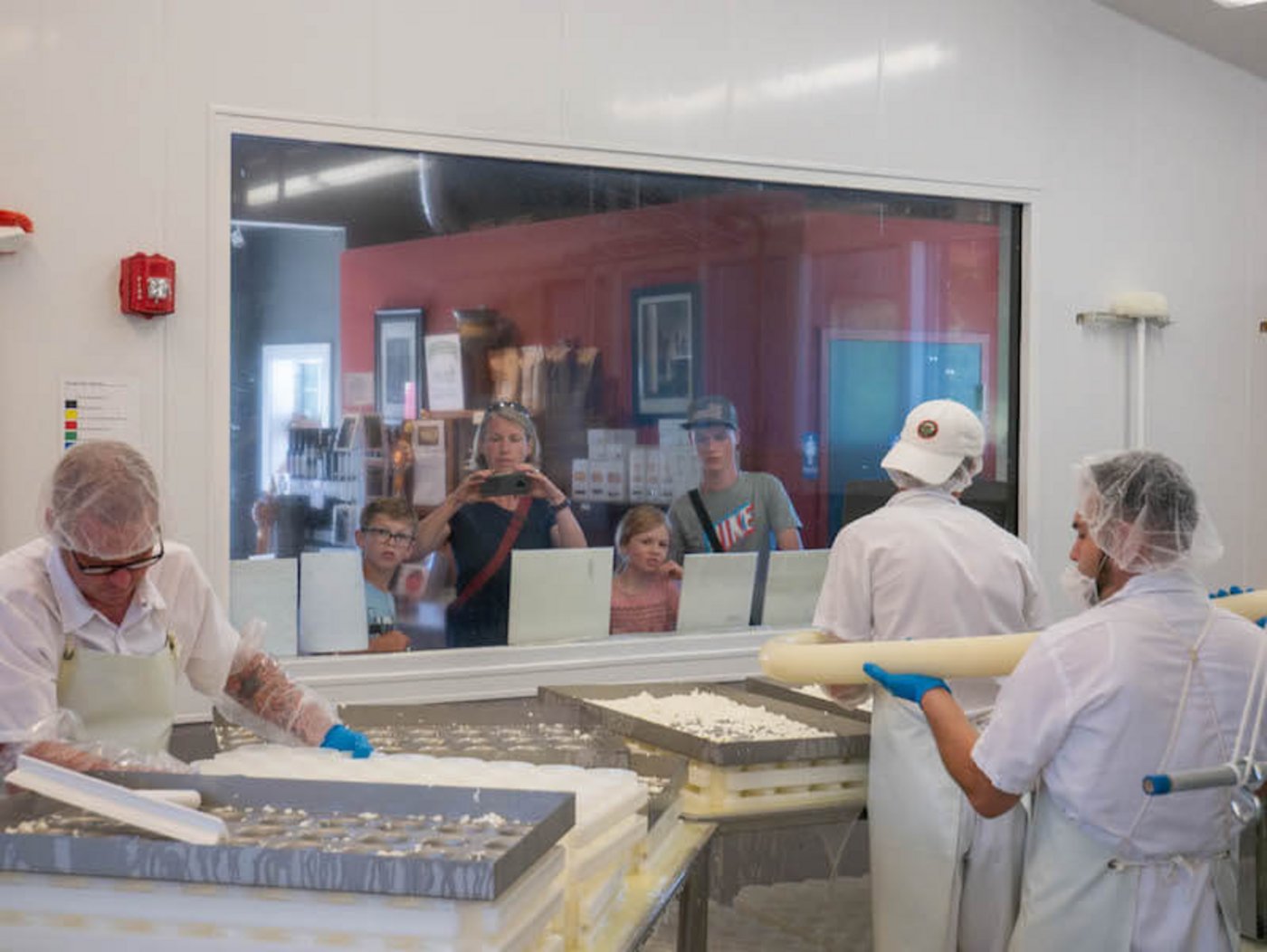 Im Shop blickt die Kundschaft über ein Schaufenster direkt in die Käseproduktion. (Bild lid)