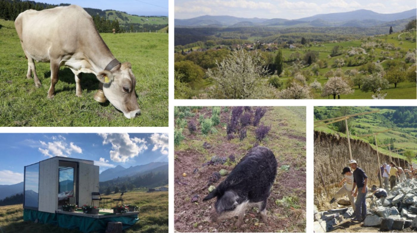 Die grosse Multifunktionalität macht die Schweizer Landwirtschaft einzigartig und wertvoll, resümiert der lid. (Bilder lid)