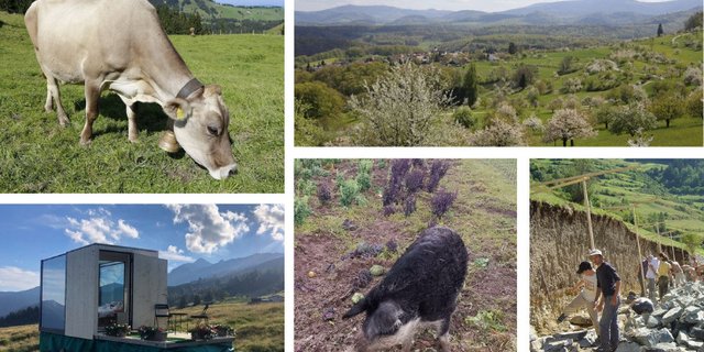 Die grosse Multifunktionalität macht die Schweizer Landwirtschaft einzigartig und wertvoll, resümiert der lid. (Bilder lid)