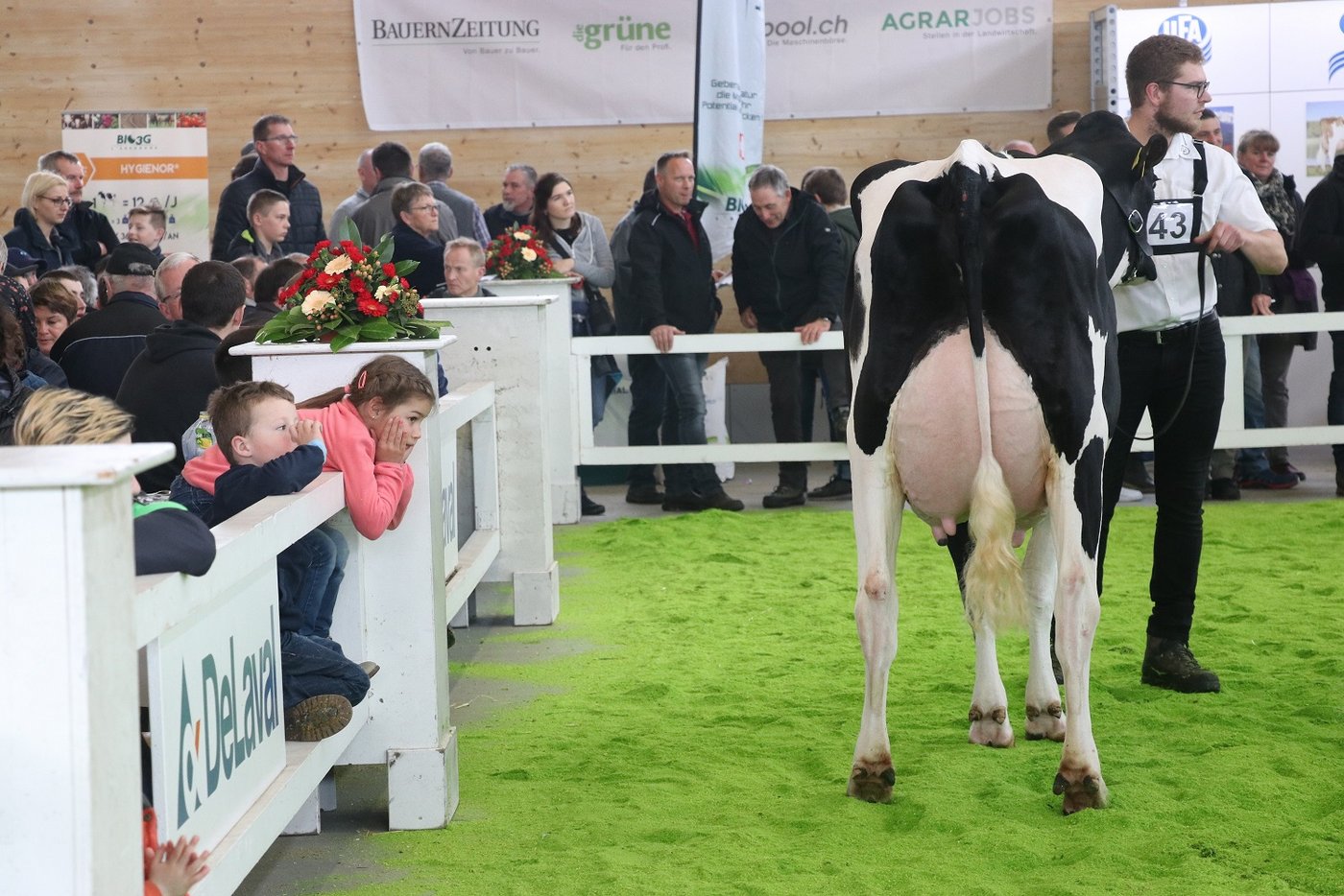 Die Züchter zeigten ihre Tiere in der Arena Brunegg vor viel Publikum. 