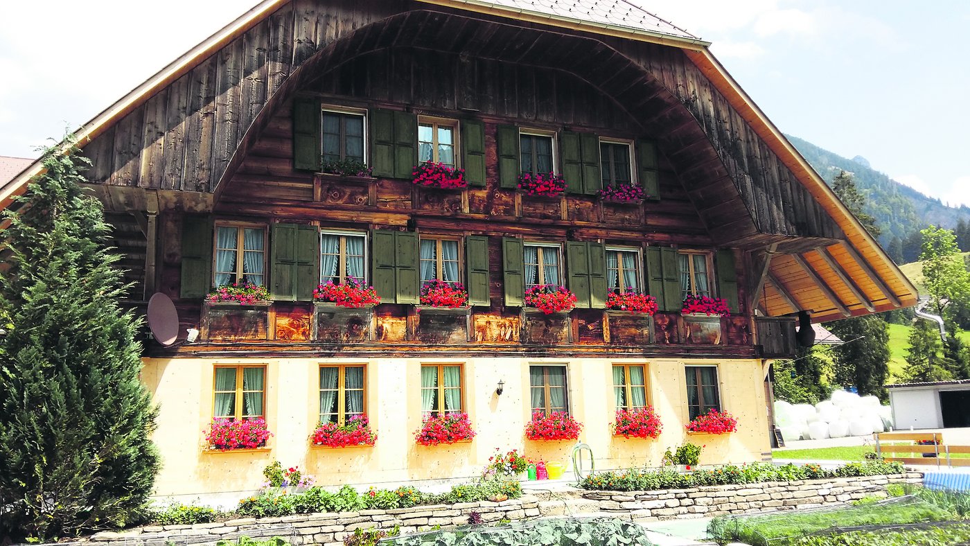 im Parterre, Wohnung und Garten sind neu.