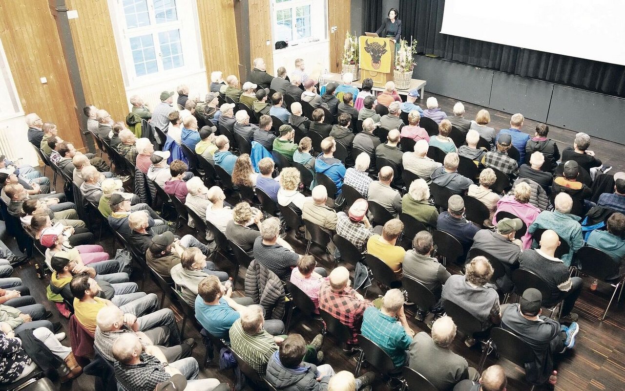 Grosses Interesse an der Wolfsproblematik in Uri. In der Aula Bürglen versammelten sich 250 Leute. 
