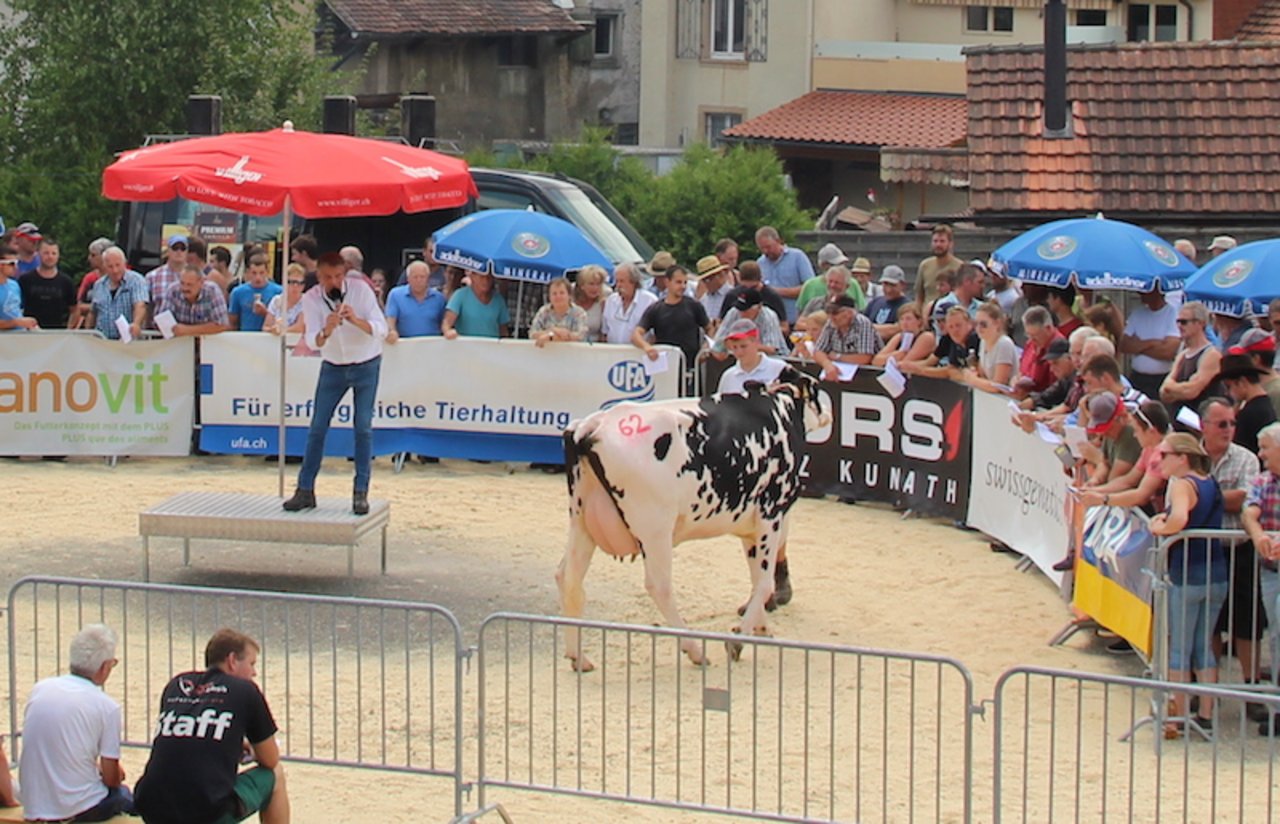 Gantrufer Alois Wyss blickt in den Ring. (Bilder rü)