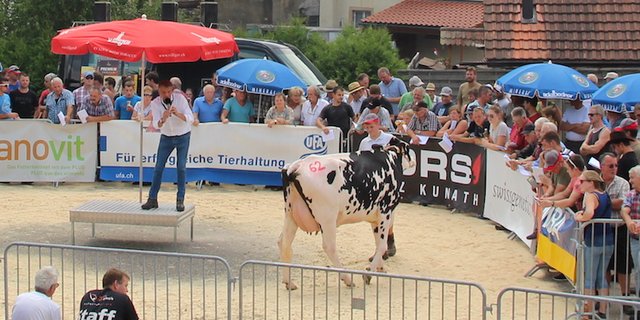 Gantrufer Alois Wyss blickt in den Ring. (Bilder rü)
