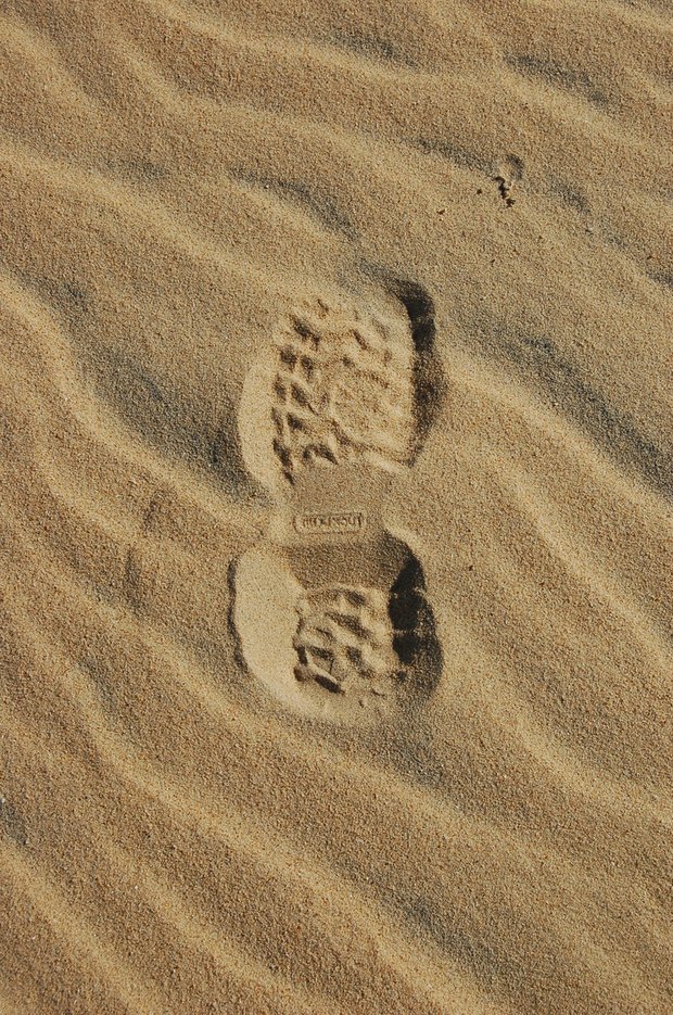 Heute sind die Ressourcen für das Jahr 2019 weltweit aufgebraucht Die Menschheit lebt heute so, als gäbe es etwa zwei Erden für uns. (Bild WWF)