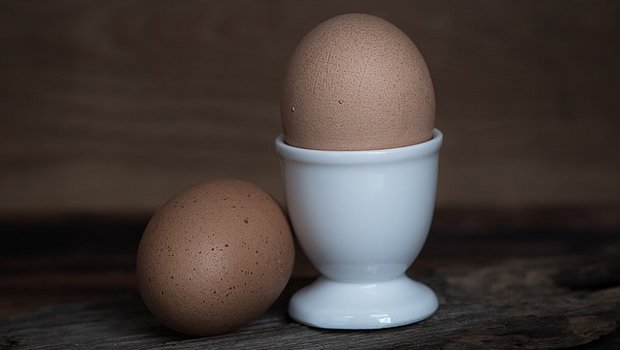 Das kalte Maiwetter hielt die Eier-Nachfrage stabil. (Bild Pixabay)