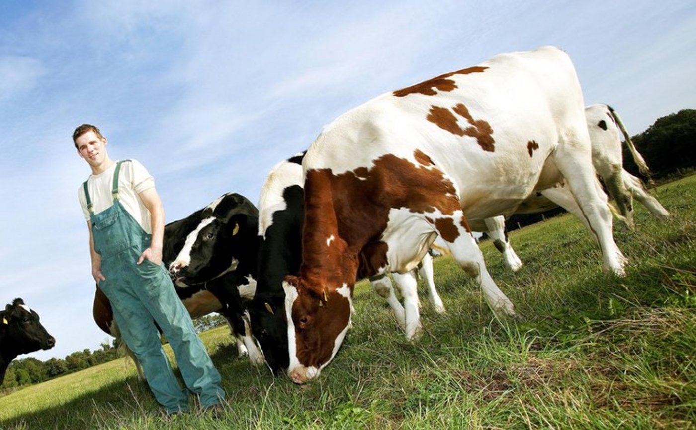 Für Quereinsteiger in die Landwirtschaft, die zuhause keinen Hof haben, ist es äussert schwierig, einen Betrieb zu finden. Ein Angebot der Kleinbauern-Vereinigung möchte das ändern. (Bild Eileen Gruschka/landwirtschaft.ch)