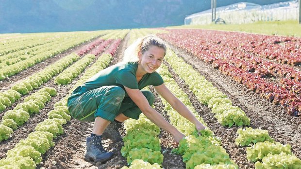 Die Landwirtschaft ist auf junge, motivierte Berufsleute angewiesen. Konkurrenzfähige Löhne zu zahlen, ist aber eine Herausforderung.