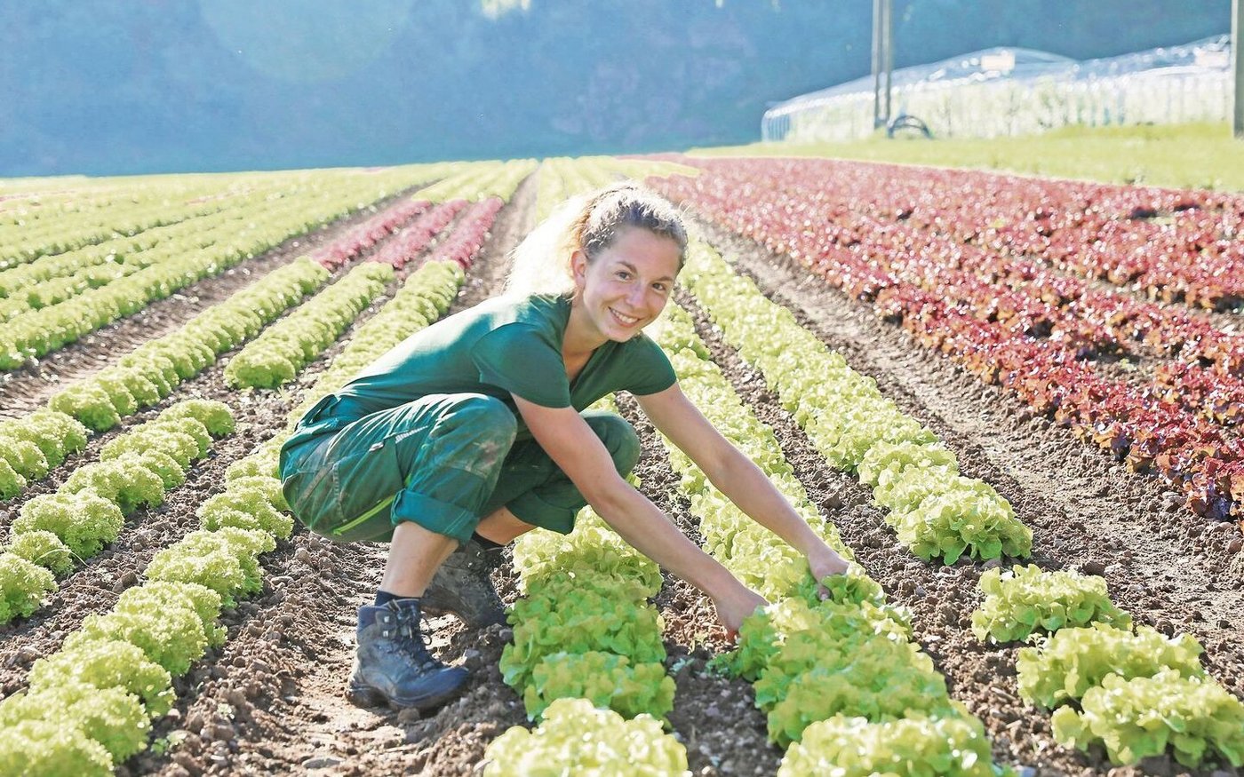 Die Landwirtschaft ist auf junge, motivierte Berufsleute angewiesen. Konkurrenzfähige Löhne zu zahlen, ist aber eine Herausforderung.