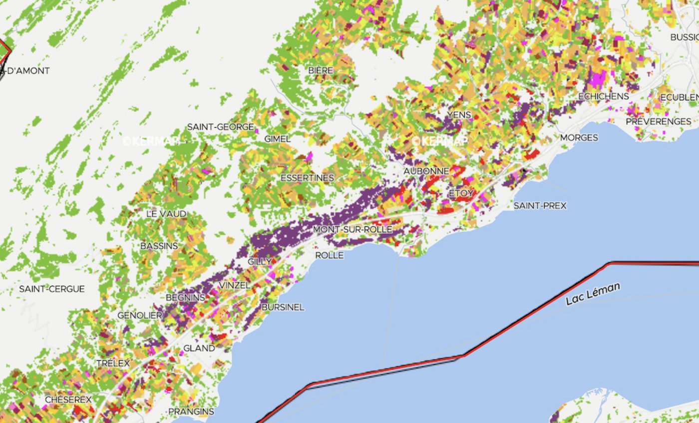 In Violett fallen hier die Weinberge oberhalb des Genfersees auf.