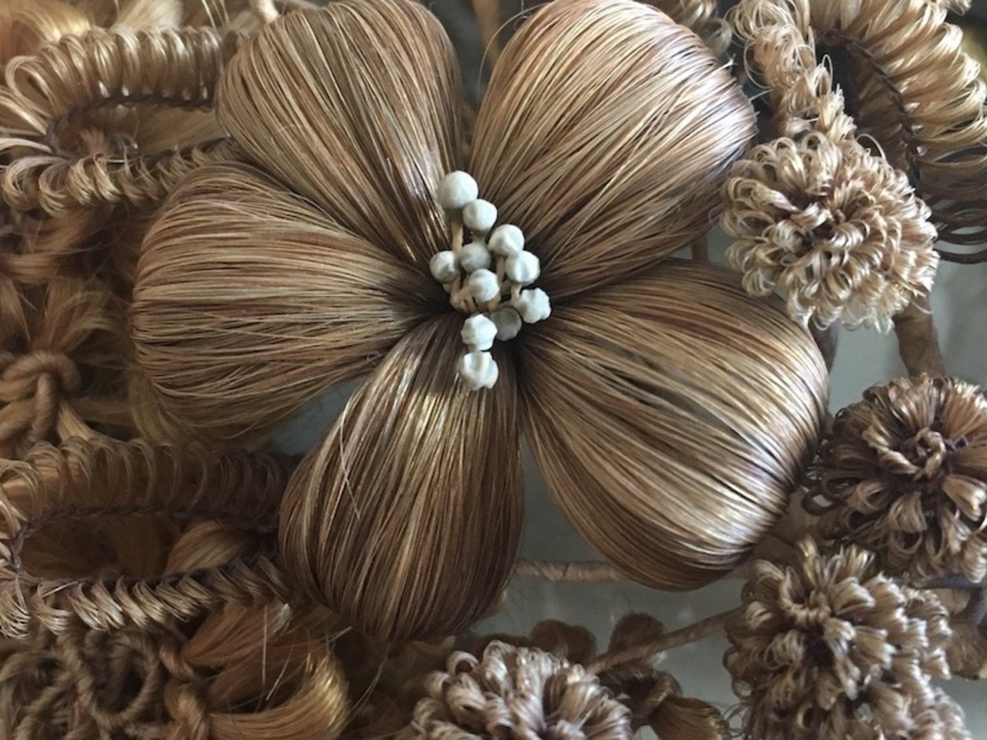 Detail einer Haararbeit aus dem 19. Jahrhundert. Um Haare zu Blüten und Blumen zu formen, brauchte es eine ruhige Hand. (Bild Tal Museum)
