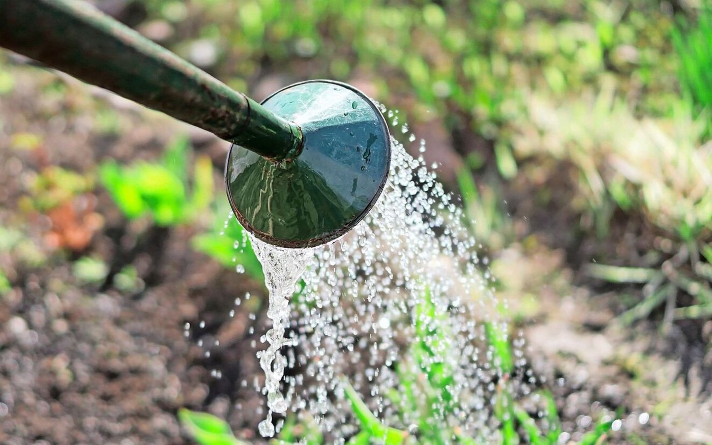 Ob mit einer Giesskanne oder einem Bewässerungsystem: Ganz ohne wässern geht es kaum im Garten.