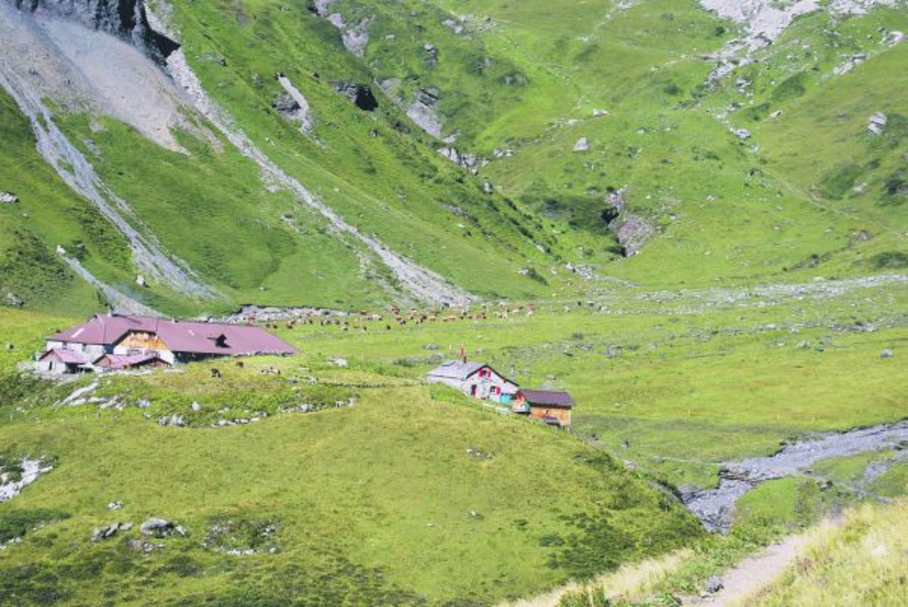 Der Stafel Boganggen auf der Alp Sefinen liegt unterhalb vom Schilthorn im Berner Oberland – auf 2040 Metern über Meer. Rechts auf dem Bild ist die bekannte Rotstockhütte. (Bilder Peter Fankhauser)