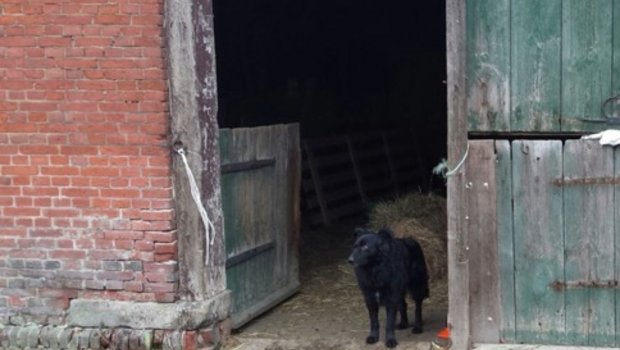 Hier geschah die Tat: Als ihm seine Tiere entzogen werden sollten, sah der 55-jährige Landwirt rot. (Bild Polizeiinspektion Verden / Osterholz)