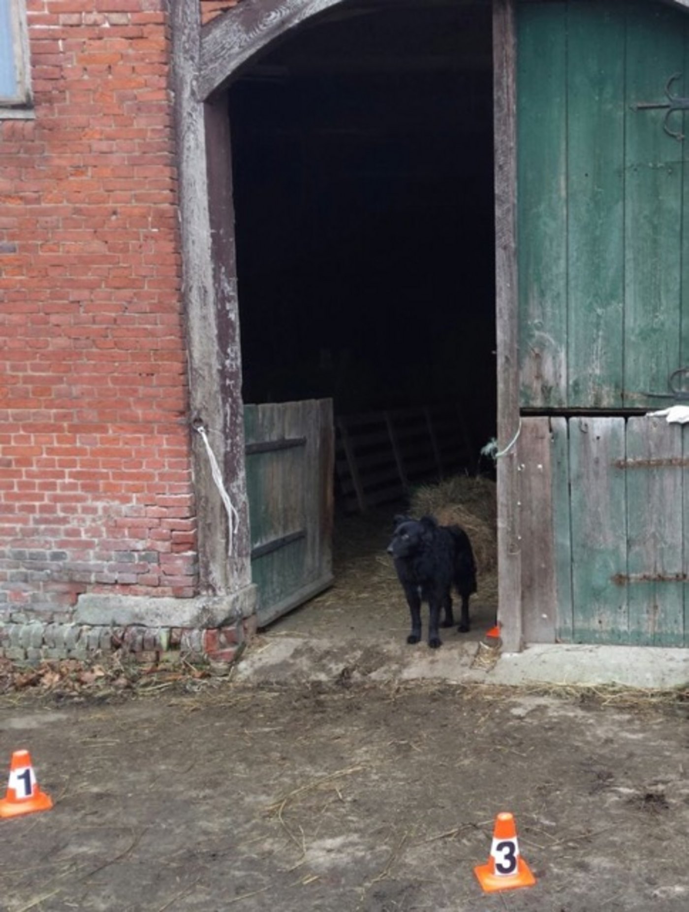 Hier geschah die Tat: Als ihm seine Tiere entzogen werden sollten, sah der 55-jährige Landwirt rot. (Bild  Polizeiinspektion Verden / Osterholz)