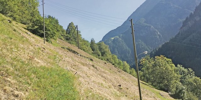 Die Schäden wegen den Maikäferlarven, also  den Engerlingen, waren im Kanton Uri nicht nur an Steillagen, sondern flächig sehr hoch. Das hatte sogar Auswirkungen auf die Einkommen. (Bild BauZ)