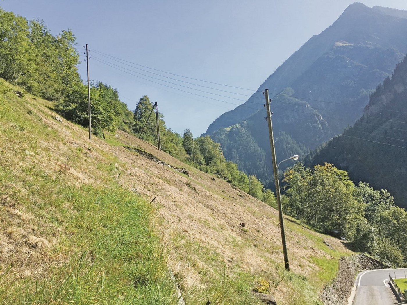 Die Schäden wegen den Maikäferlarven, also  den Engerlingen, waren im Kanton Uri nicht nur an Steillagen, sondern flächig sehr hoch. Das hatte sogar Auswirkungen auf die Einkommen. (Bild BauZ)