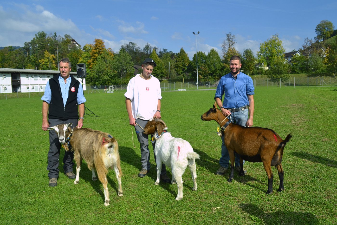 Die Missen (v. l. n. r.): Erga von Theres und Noldi Amstutz, Wiesenberg; Fink von Urs Käslin, Ennetbürgen; Jara von Patrick Businger, Dallenwil. 