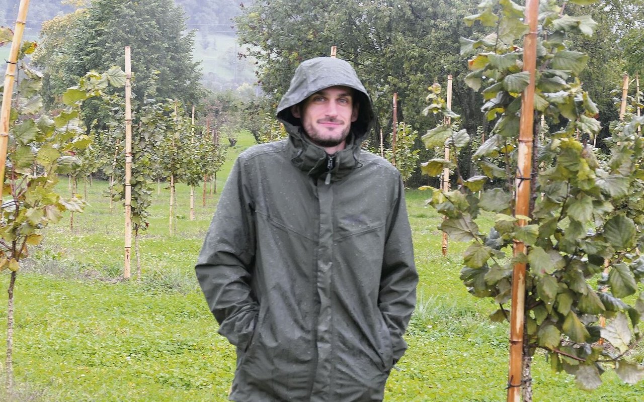 Landwirt Stefan Gerber vor seiner Haselnussanlage in Mettmenstetten. Die ersten Bäume hat er vor zwei Jahren gepflanzt. Bereits gibt es vereinzelt Nüsse.