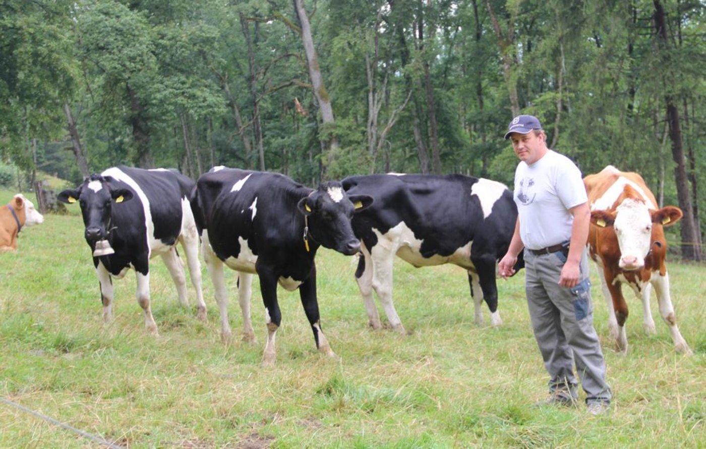 Martin Küpfer auf der Alpweide. (Bilder: Christian Weber)