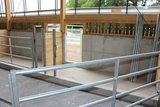 Hier gehts an die frische Luft in den Auslauf-Teil des neuen Stalls. (Bild rü) 