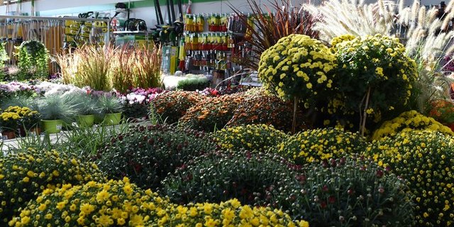 Es wurden mehrere neue Landi-Geschäfte eröffnet. (Bild LV St. Gallen)