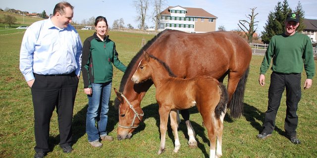 Geschäftsmann Roman Kalberer, links, hat über seine pferdebegeisterte Frau das Ehepaar Manuela und Albert Kuster kennengelernt. Kalberer lässt Stutenmilch zu Kosmetik verarbeiten. (Bild Ruth Bossert)