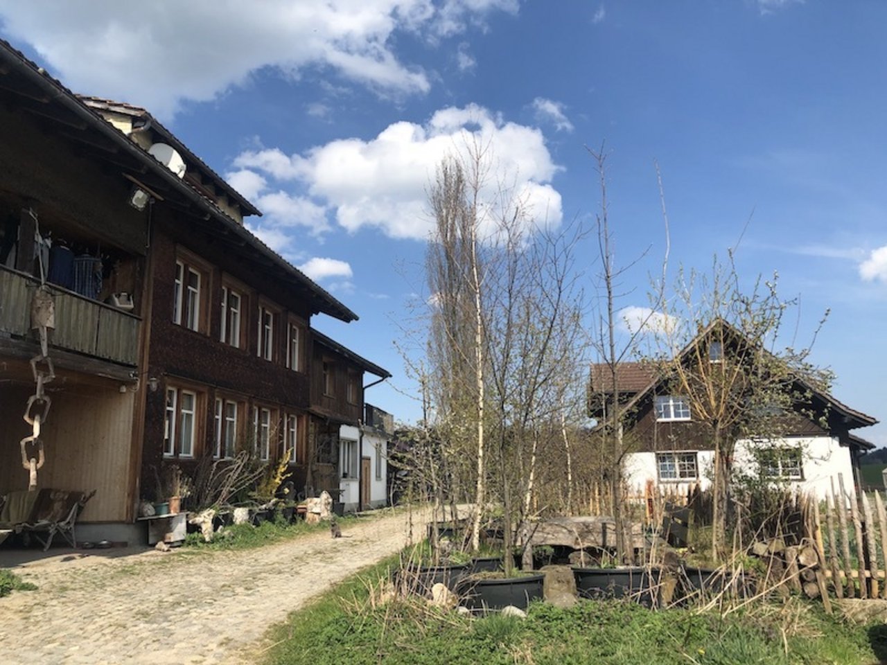 Auf dem Ebnethof in Lenggenwil SG kann sich Johanna Burri ihre Zukunft vorstellen.