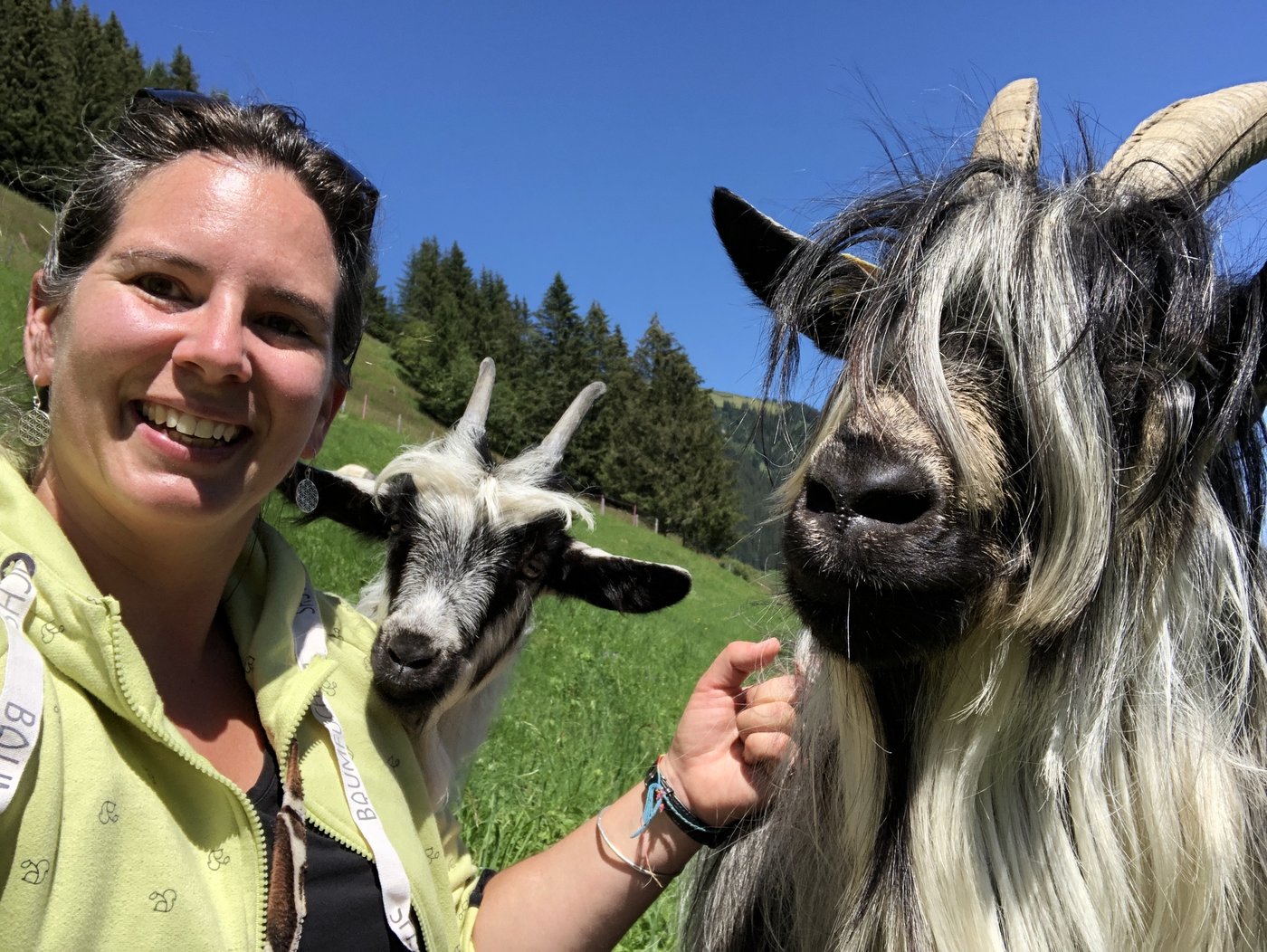 Sabina Bircher mit ihren Grüenochte Geissen in Adelboden. (Bild Sabina Bircher)