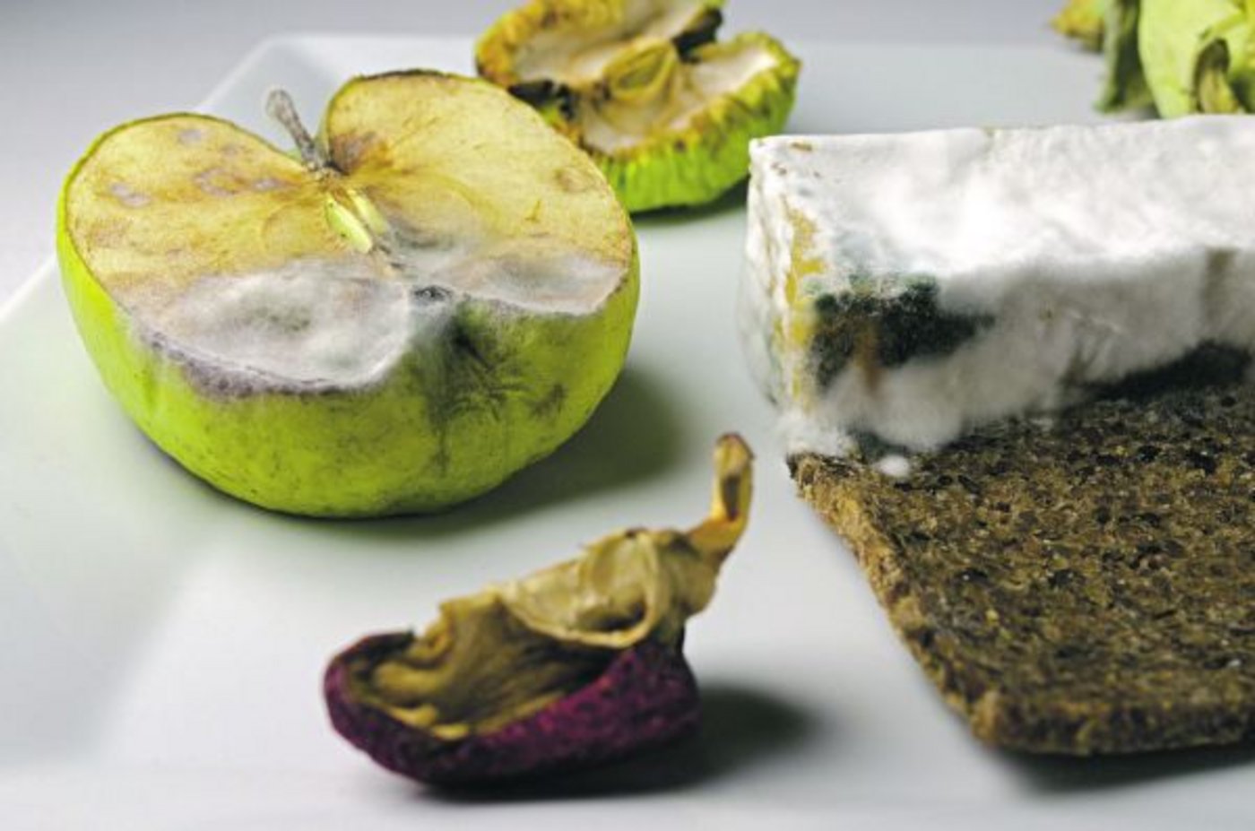 Lebensmittel wegwerfen ist nicht nur dumm, es ist auch teuer: Getreideprodukte, vor allem Brot, schlagen mit Fr. 557.50 pro Jahr am meisten zu Buche. (Bild Pixabay)