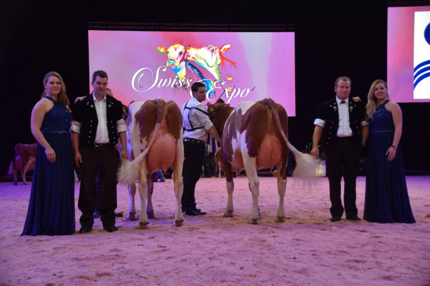 Als Schöneutersiegerin wählte der Richter die junge Orlando Nikita (rechts) von Markus und Joel Fankhauser und Werner Sommer aus Süderen BE. Reserve-Schöneuter wurde Kilian Birba von Sandro und Daniel Wölfi aus Fahrni BE.