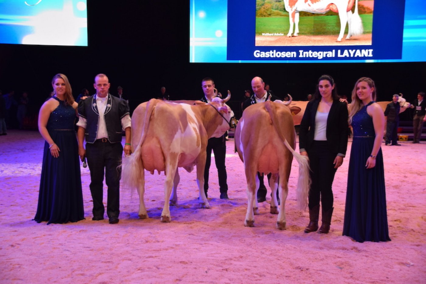 Fabbio Azalea (links) wurde auch Schöneuter-Champion. Reserve Schöneuter Champion wurde Mont-Blanc Sydney, Martin Schärz, Hondrich BE. (Bild jba)