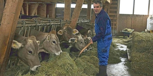 SMP-Kandidat Urs Werder führt im Toggenburg einen Biobetrieb. Auf die Braune Rasse setzt er, weil es unproblematische und langlebige Kühe sind und weil er Freude an der Zucht hat.