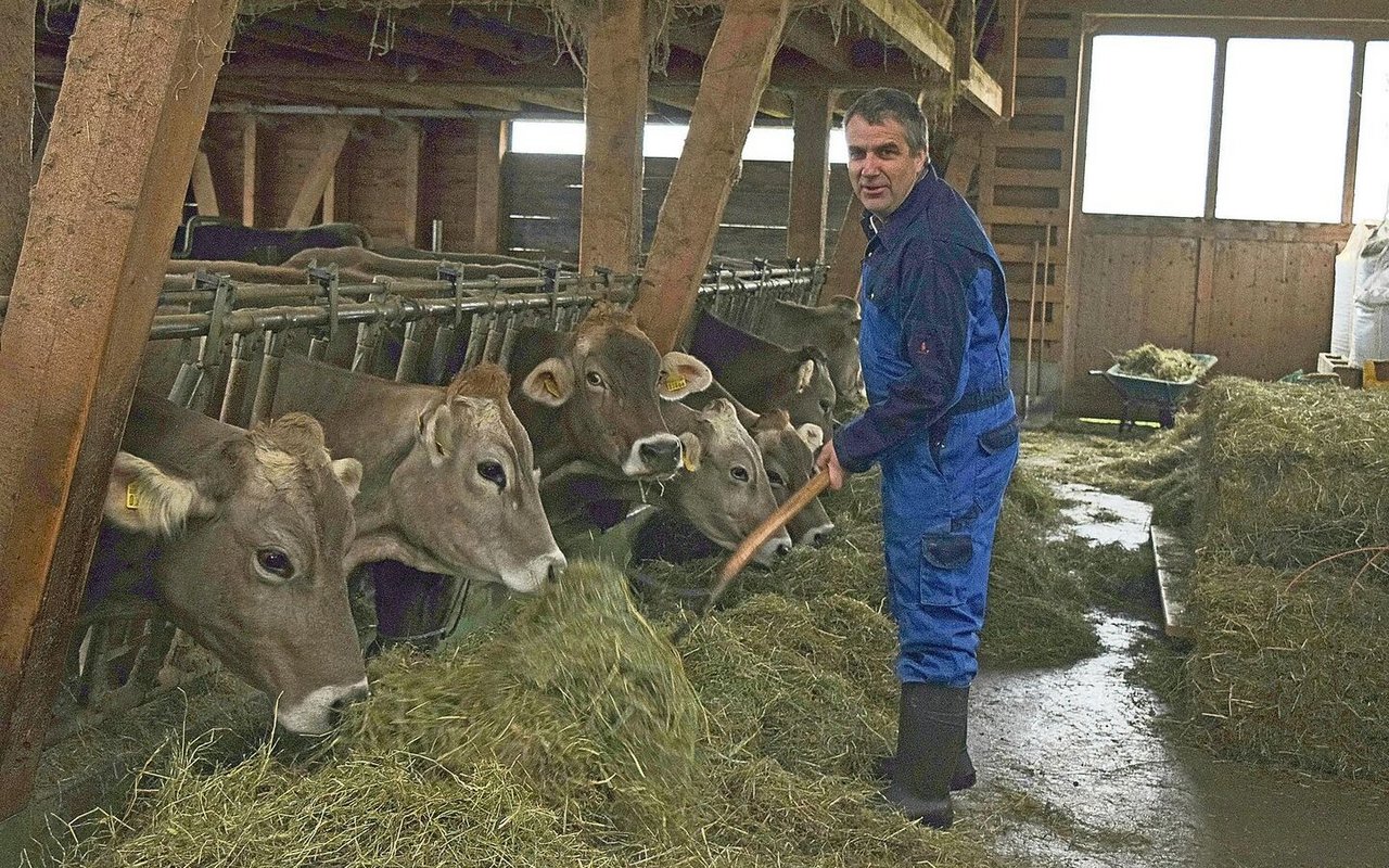 SMP-Kandidat Urs Werder führt im Toggenburg einen Biobetrieb. Auf die Braune Rasse setzt er, weil es unproblematische und langlebige Kühe sind und weil er Freude an der Zucht hat.