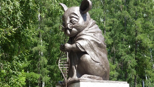 Das Denkmal für Labormäuse ist eine Statue in der russischen Stadt Nowosibirsk. (Symbolbild Irina Gelbukh)