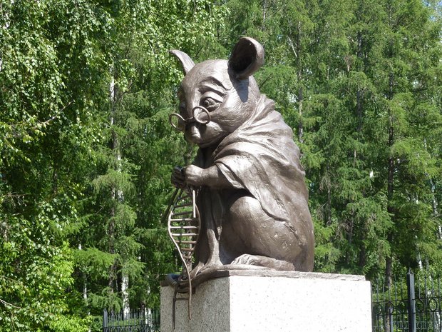 Das Denkmal für Labormäuse ist eine Statue in der russischen Stadt Nowosibirsk. (Symbolbild Irina Gelbukh)