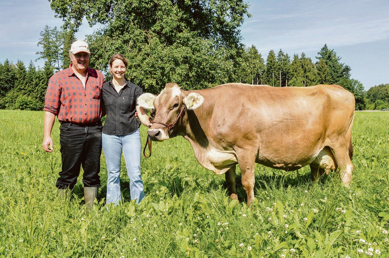 Jason Kenia von Christian und Jasmin Albrecht ist mittlerweile 23 Jahre alt (im Bild 13 Jahre). Sie ist die älteste Kuh der Schweiz mit einer Lebensleistung von 175?'000 kg Milch. (Bild Braunvieh Schweiz)