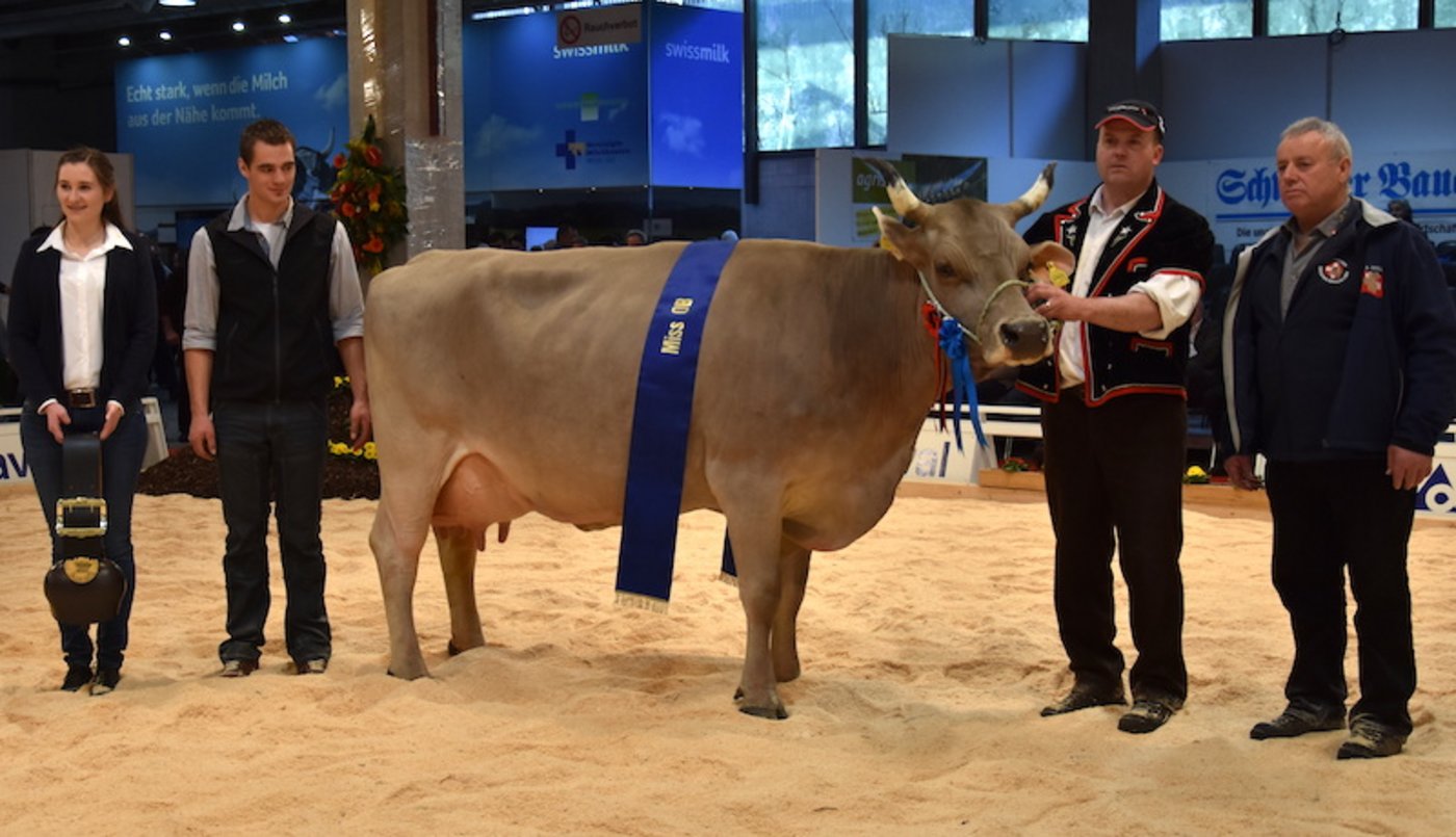 Das Siegerbild. OB-Miss William Poldi umgeben von Braunviehkönigin Eliane Berner, Richter Theo Marti und ihrem Besitzer Andreas Anderegg. 