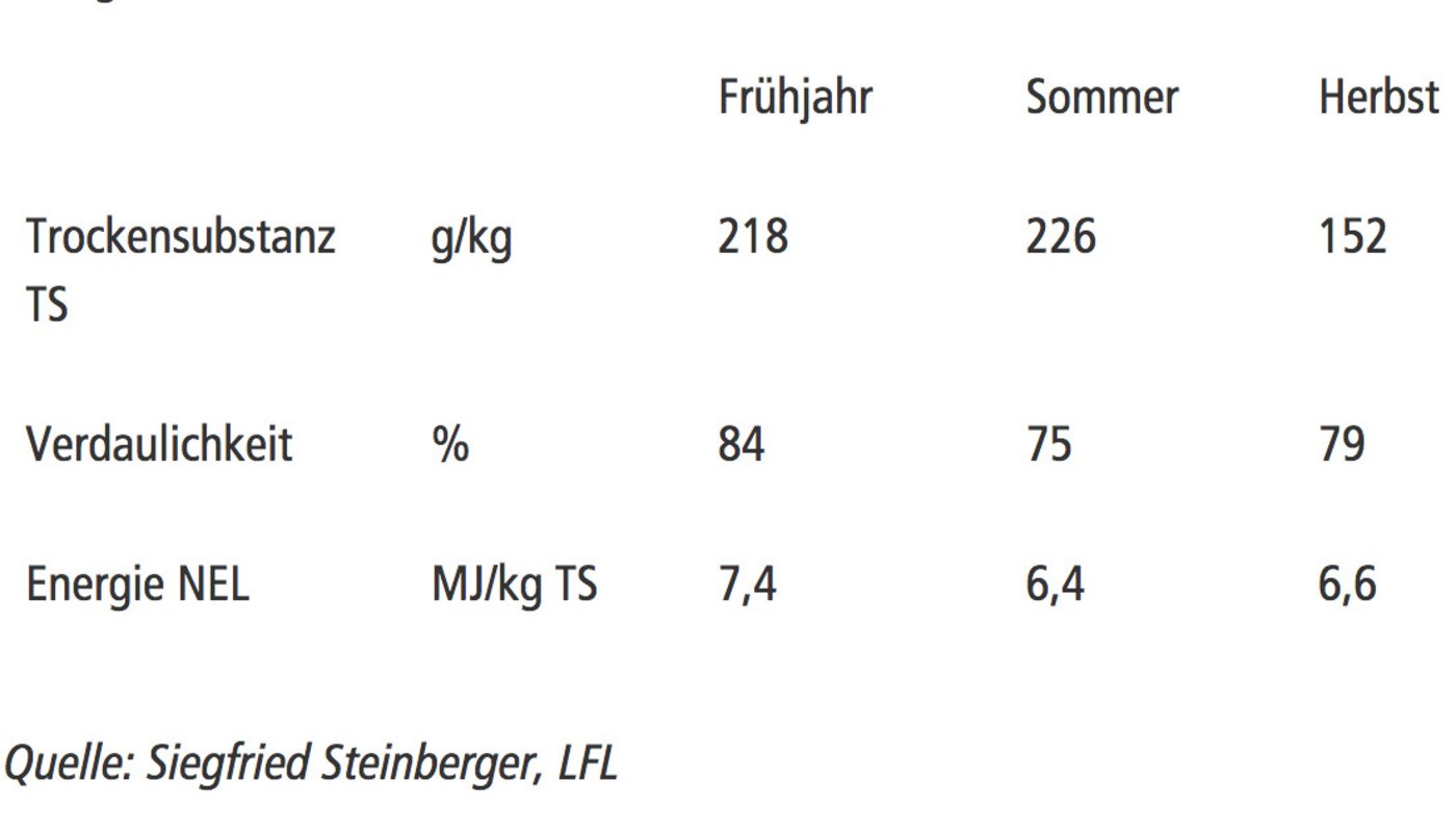 Die Verdaulichkeit und der Energiegehalt ändern sich im Laufe des Jahres, auch wenn man immer bei ähnlicher Bestandeshöhe, in diesem Fall waren das Gras stets weniger als 8 Zentimeter hoch, weidet.