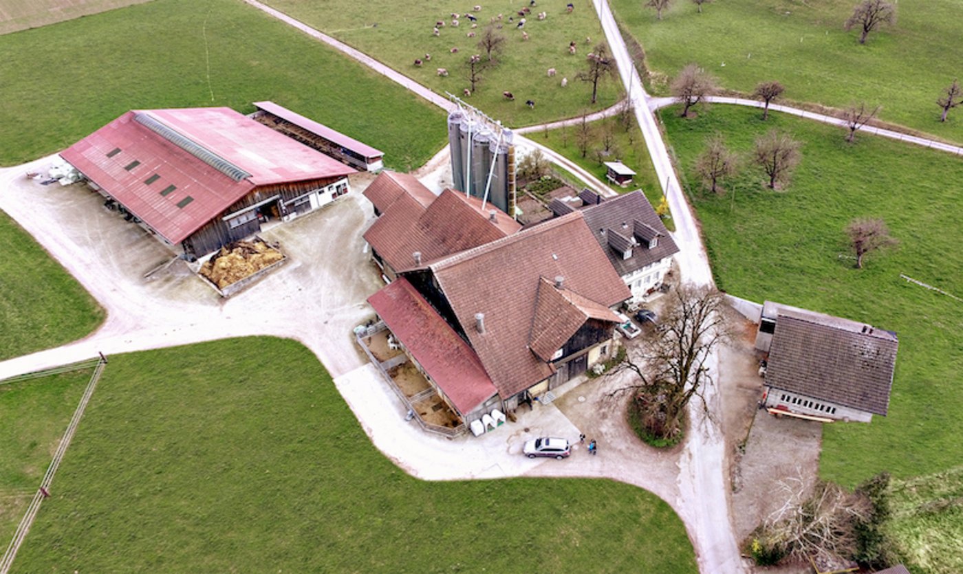 Auf der Ranch Fair-Beef in Freudwil kann man Kühe melken und die Kinder schminken lassen. 