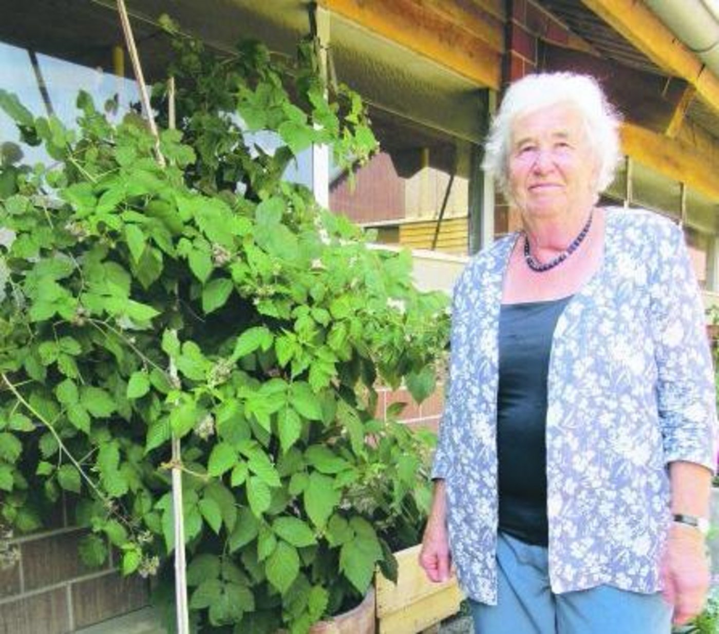 Der Garten hat nicht mehr eine ganz so grosse Bedeutung wie früher. Irma Mosimann hat ihn redimensioniert. Das gibt mehr Zeit für die Beziehungspflege. (Bild Margreth Rinderknecht)