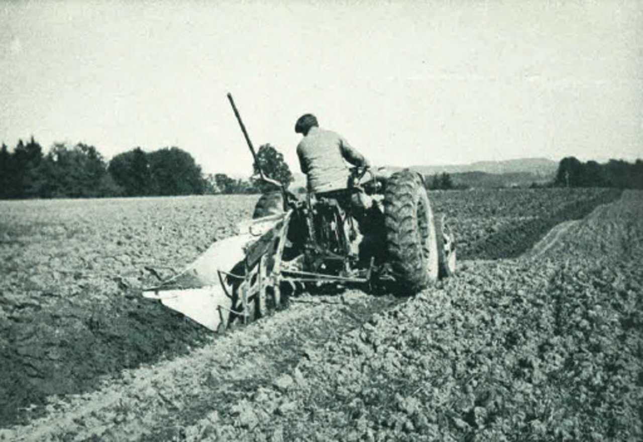 Die Verbreitung des Traktors sei angesichts unserer bäuerlichen Verhältnisse überraschend gross, so der Bauernverband damals. (Bild Tschopp, Wil)