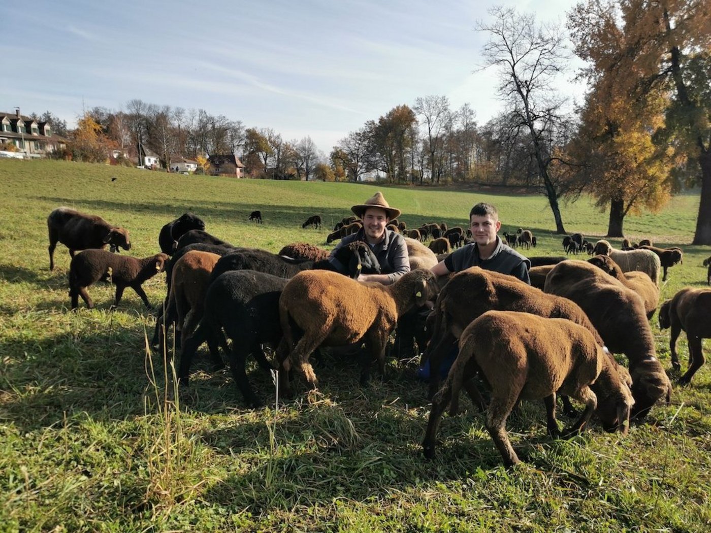 Maël Matile (links) und sein Kollege Kurt Hodel haben Ende Oktober ihre beiden Herden nach Bern gebracht, wo sie jetzt zusammen weiden. (Bild sb)