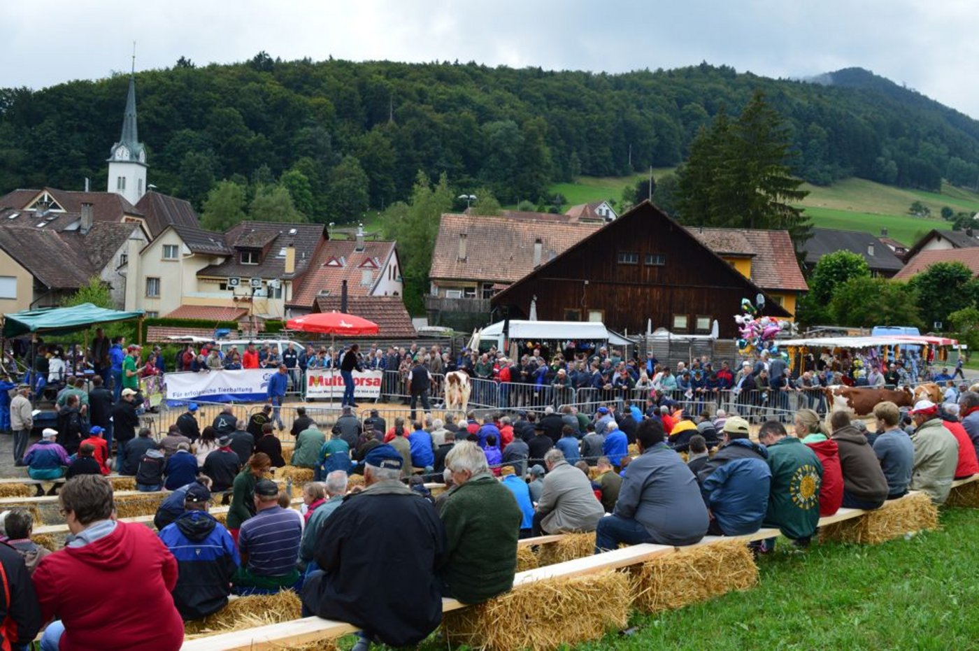 Viele Interessierte fanden am Mittwoch den Weg an die Auktion des Bergbauernvereins Langenbruck und Umgebung.