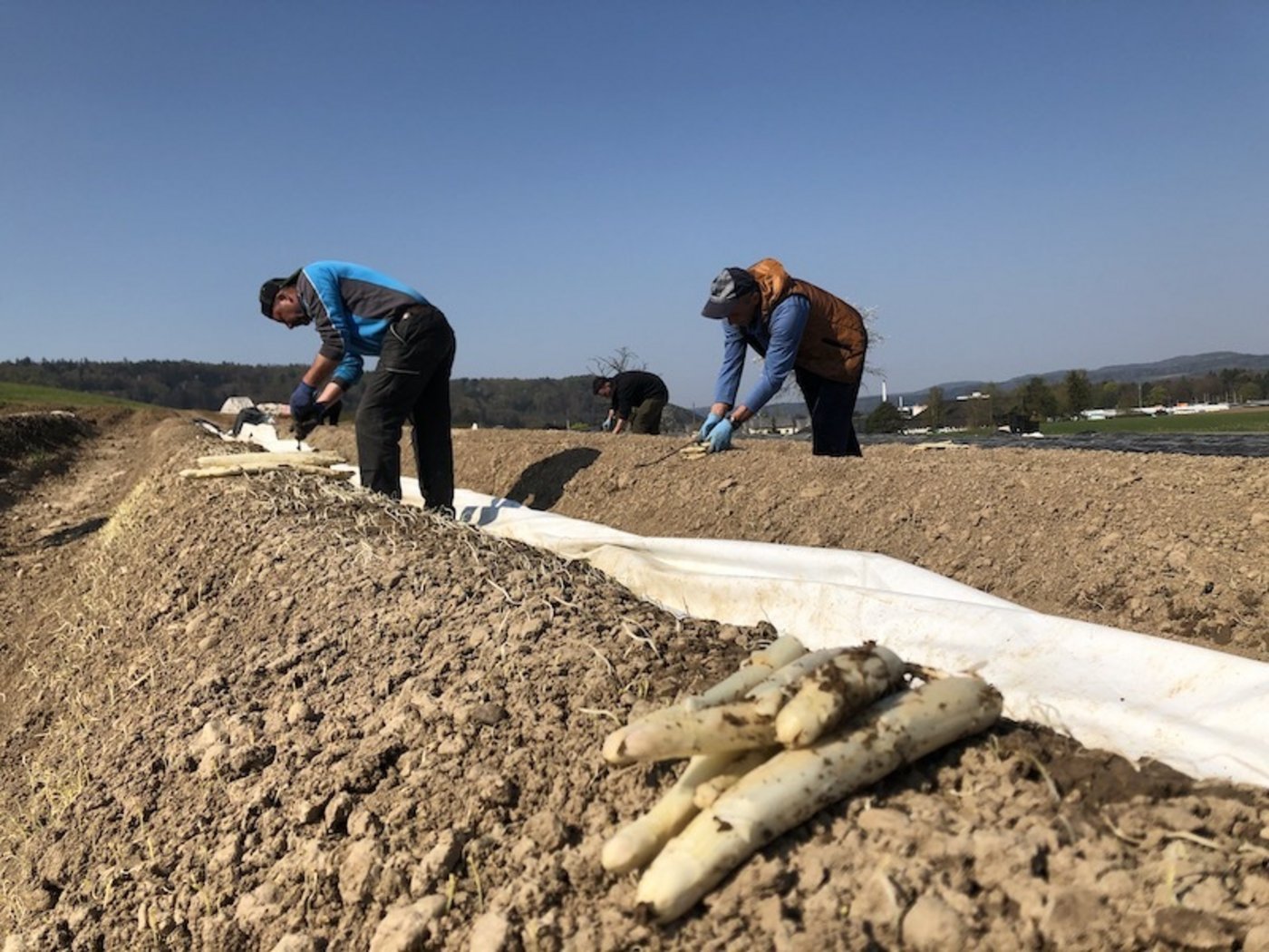 Man braucht einen starken Rücken.