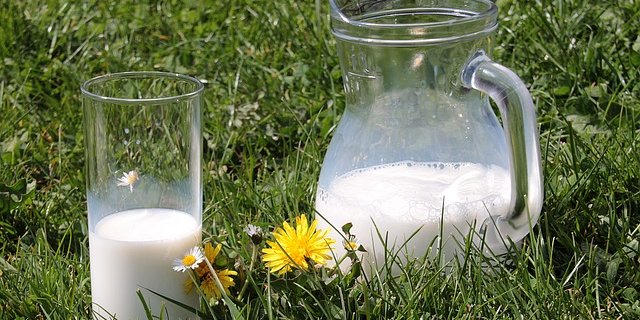 Mit Frischgras lässt sich Milch laut Agroscope einen Viertel bis einen Drittel günstiger produzieren. (Bild Pixabay)