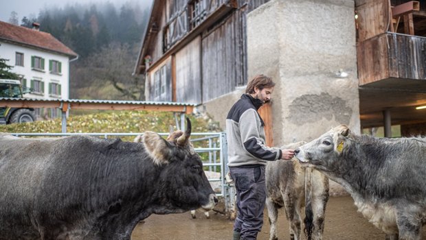 Für die Hoftötung rechnet Blunier mit einer Vor- und Nachbereitungszeit von drei Stunden. Bild: Matthias Nutt