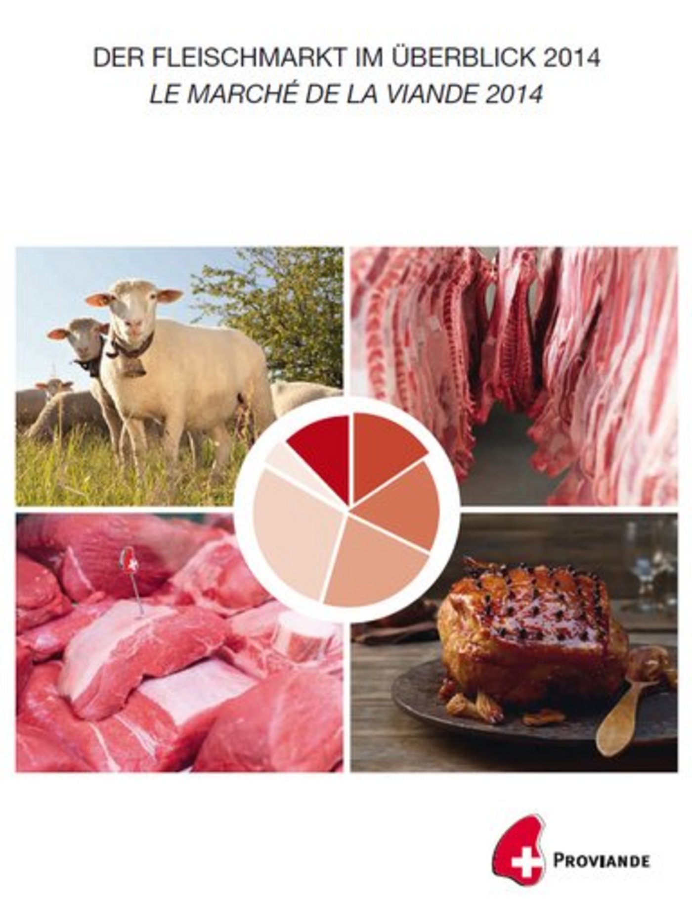 So präsentiert sich die Publikation. (Bild zVg)