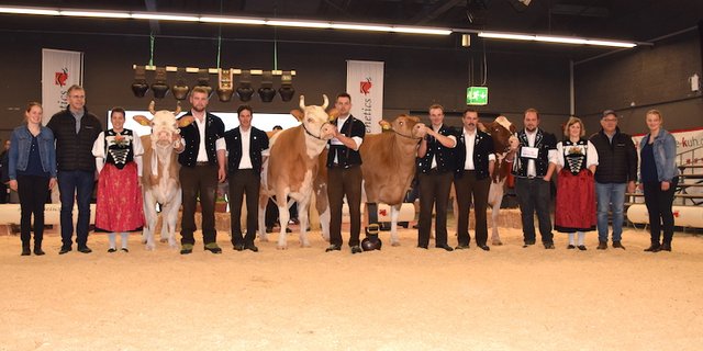 Die Königinnen des 13. Jungkuhchampionats (v.l.n.r.): SI-Schöneuter Unetto Wiria, Fam. Schmied, Guggisberg BE; SI-Champion Amarone Elina von Stephan und Jonathan Perreten, Lauenen bei Gstaad; SF-Champ. Odyssey Grischuna von Ueli Aeschlimann, Trub BE; SF-Schöneuter Kilian Birba, Sandro Wölfli, Fahrni b. Thun BE. (Bilder jba)
