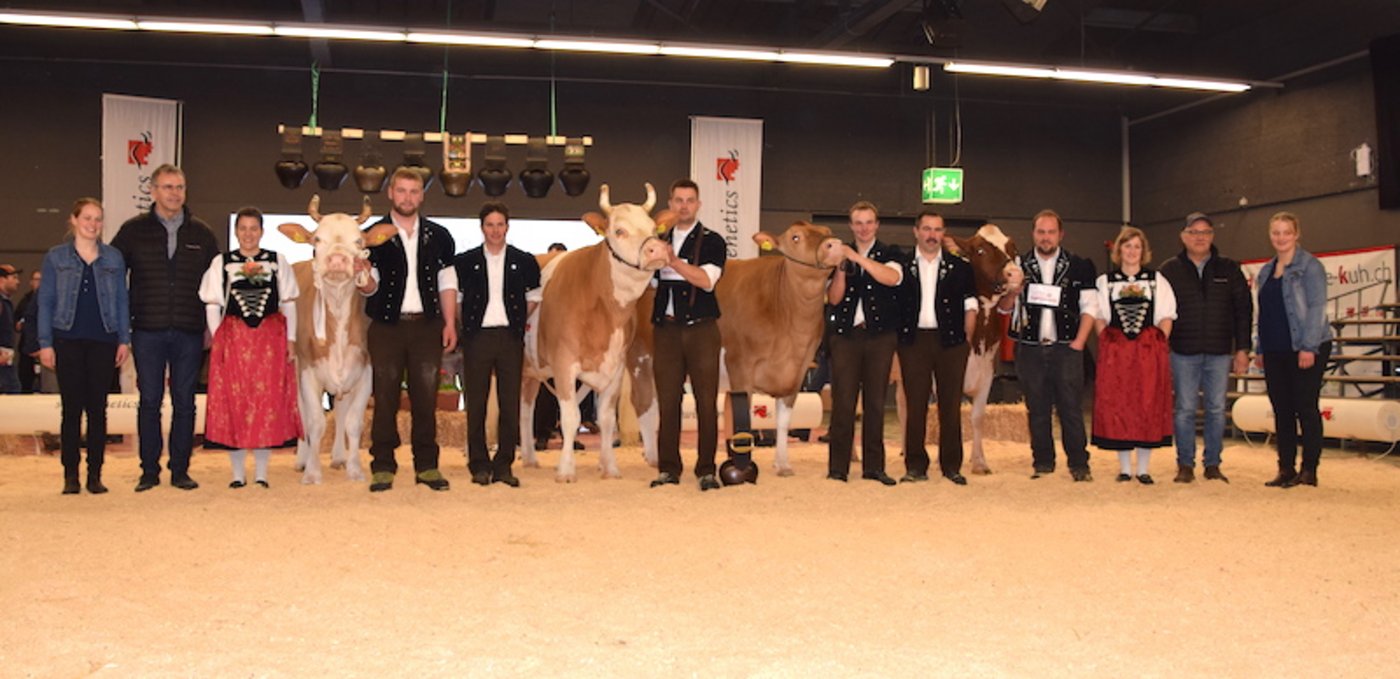 Die Königinnen des 13. Jungkuhchampionats (v.l.n.r.): SI-Schöneuter Unetto Wiria, Fam. Schmied, Guggisberg BE; SI-Champion Amarone Elina von Stephan und Jonathan Perreten, Lauenen bei Gstaad; SF-Champ. Odyssey Grischuna von Ueli Aeschlimann, Trub BE; SF-Schöneuter Kilian Birba, Sandro Wölfli, Fahrni b. Thun BE. (Bilder jba)